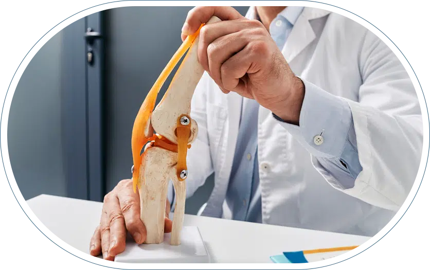 Orthopedic doctor using a model of a knee to prepare information for his newsletter.