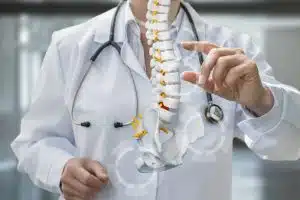 An orthopedic spine specialist demonstrates spine anatomy in modern clinic.